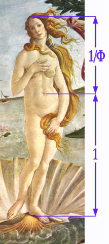 la proporción áurea y el arte