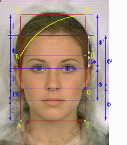 anatomia y geometría sagrada